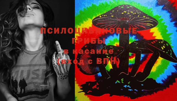 мяу мяу мука Корсаков