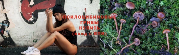 спиды Майский