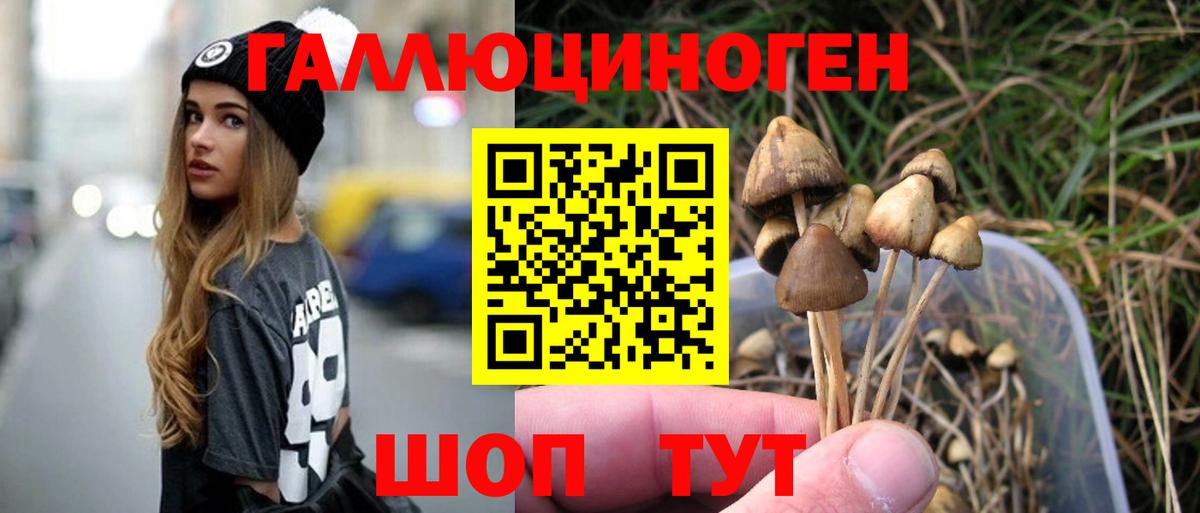 Галлюциногенные грибы MAGIC MUSHROOMS  где купить наркоту  Галлюциногенные грибы Psilocybine cubensis  Заинск 